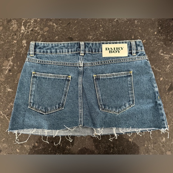 Dairy Boy Dresses & Skirts - Dairy Boy Denim Mini Skirt